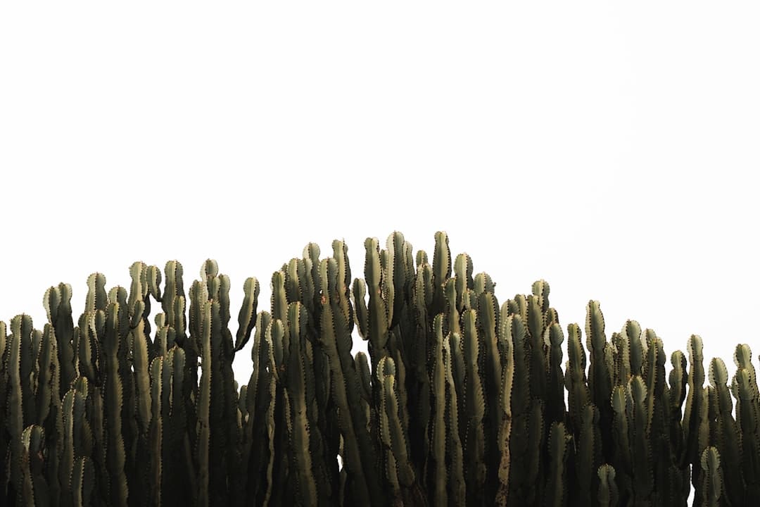 佟丽娅谈与陈思诚离婚后联系！仍能一同拍戏